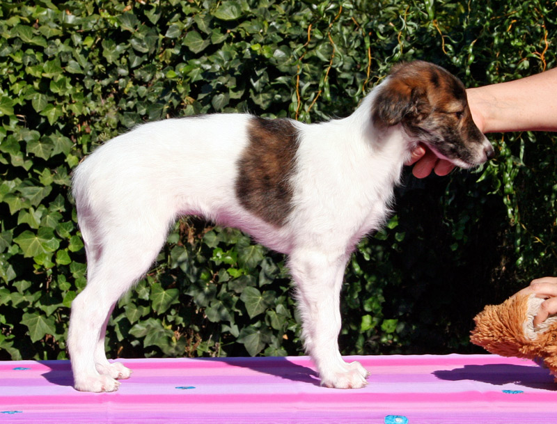 Surf Spots - Girl 1 Right